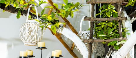 Economy Studio (for 2) | Garden view