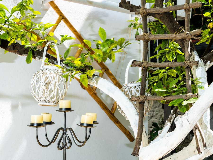 Economy Studio (for 2) | Pemandangan taman