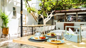 A dining area with tables, chairs, and a large tree providing shade.