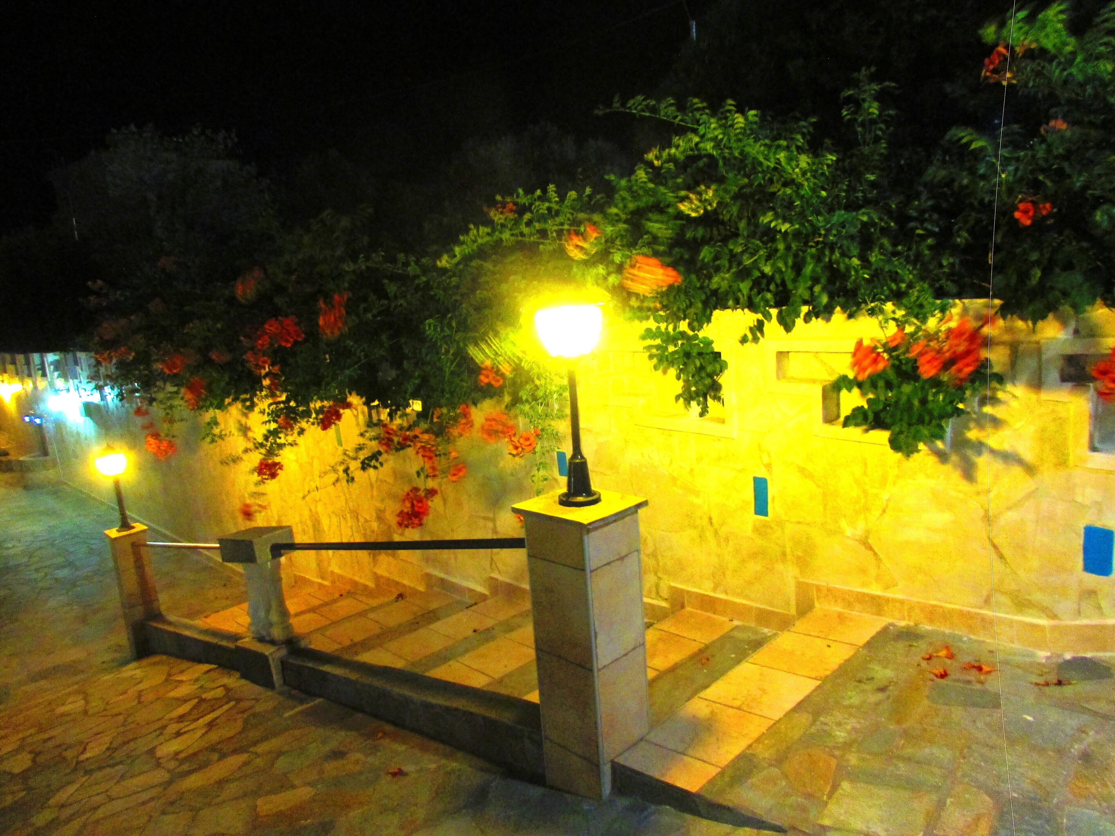 Photo - Castellino Studios