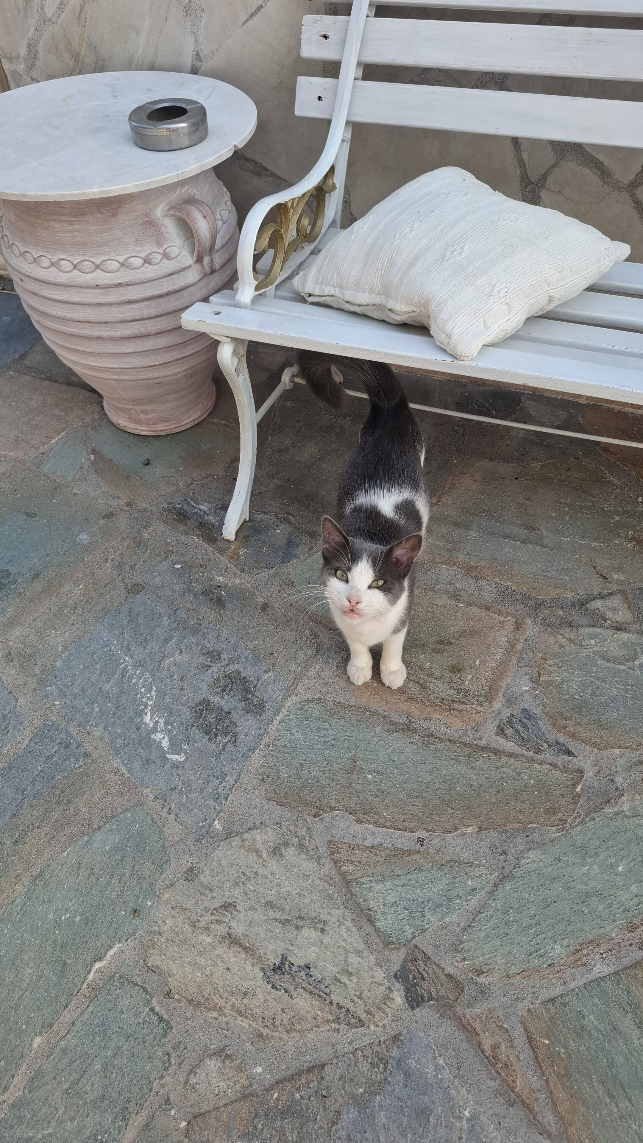 Foto - Castellino Studios