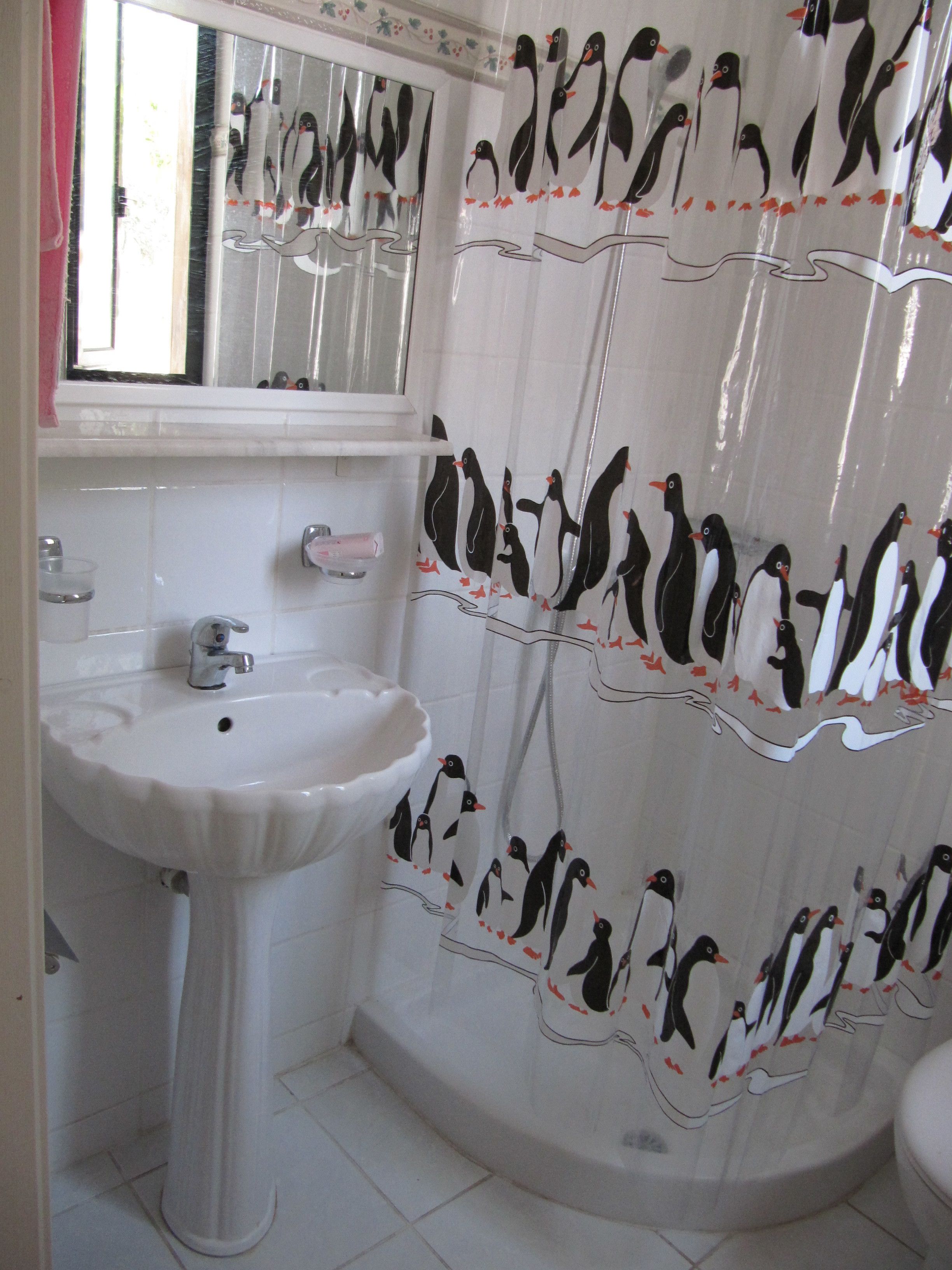 Photo - Castellino Studios