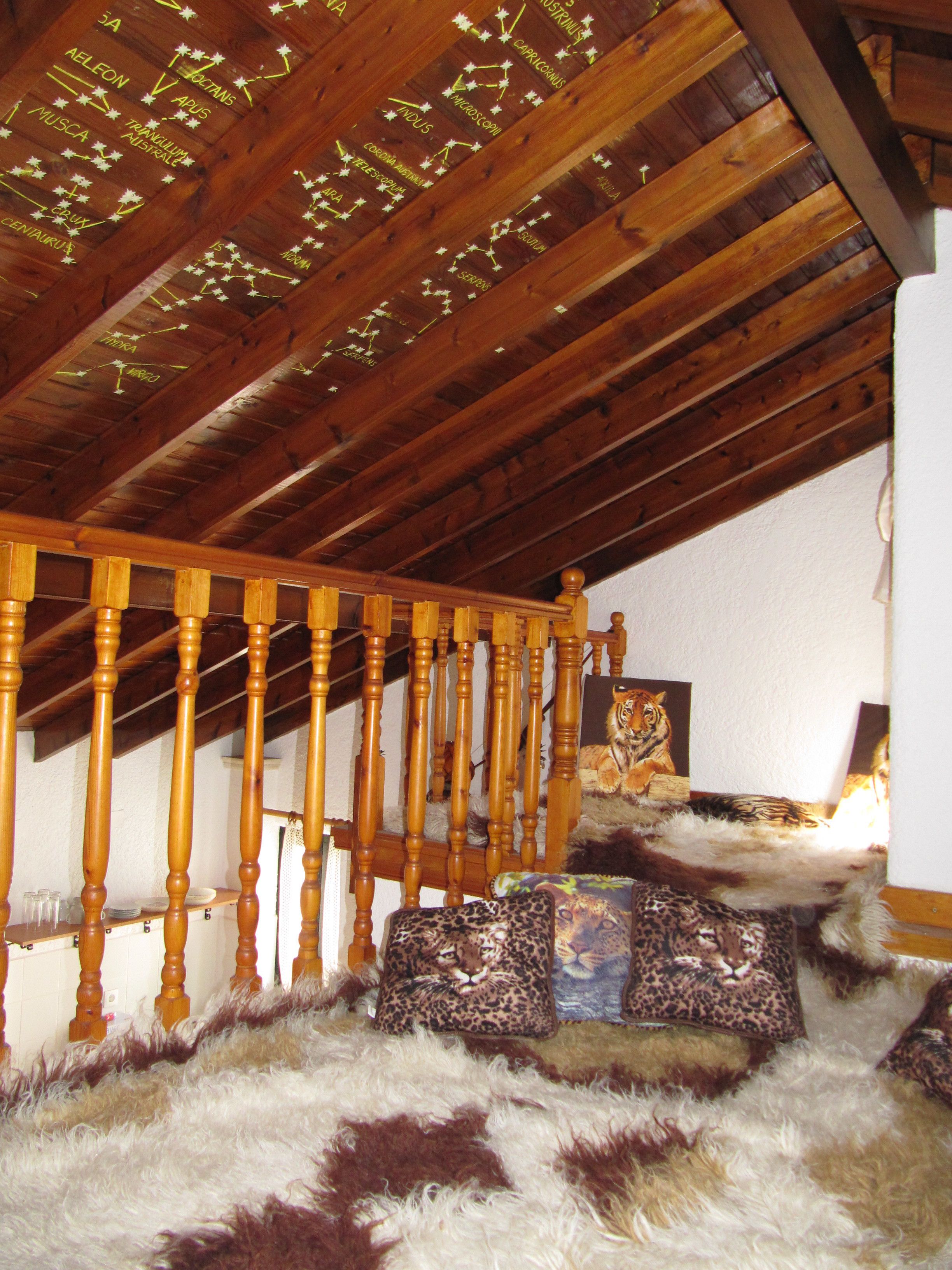 Photo - Castellino Studios