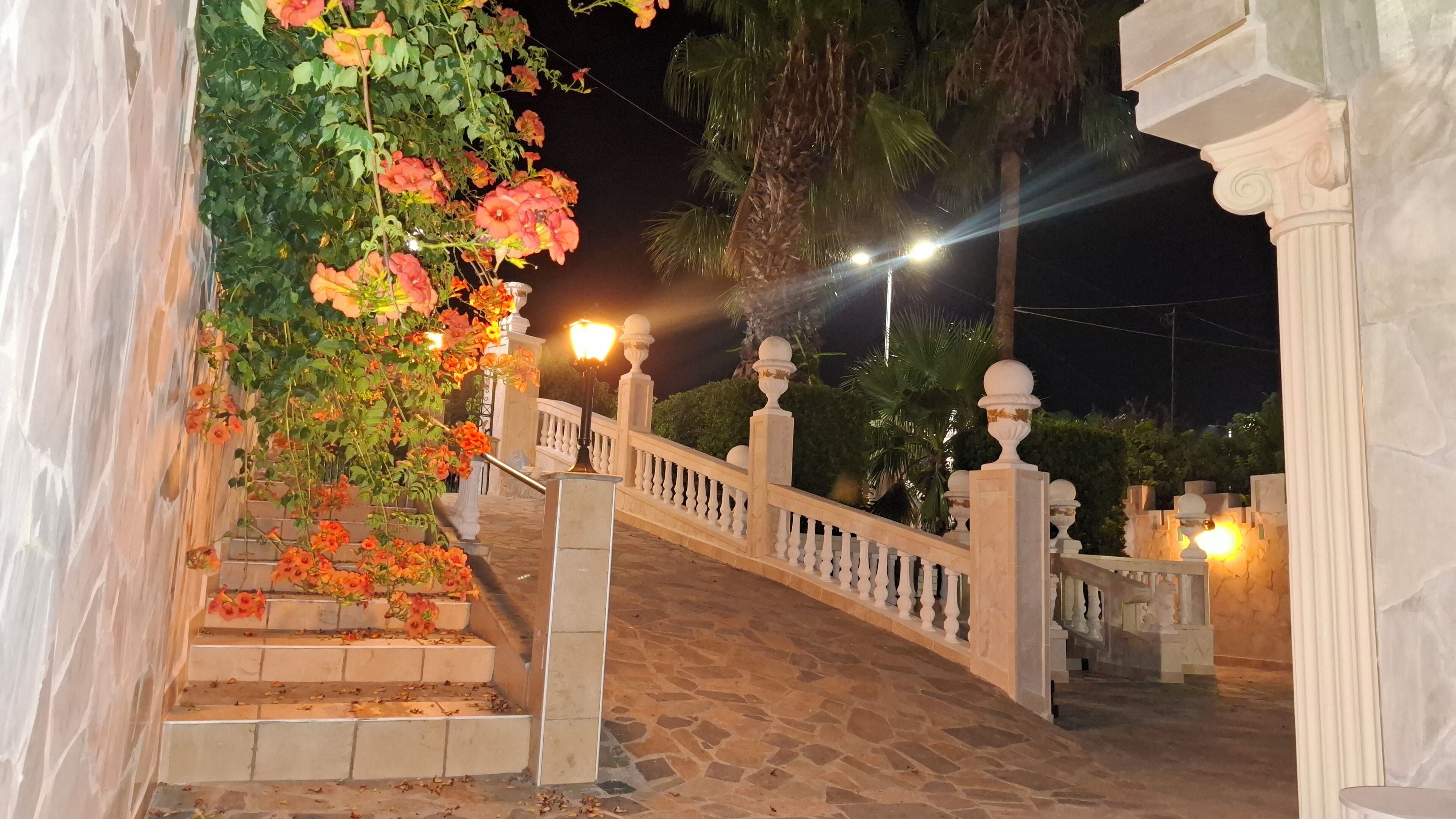A stone staircase with a railing, surrounded by greenery and flowers.