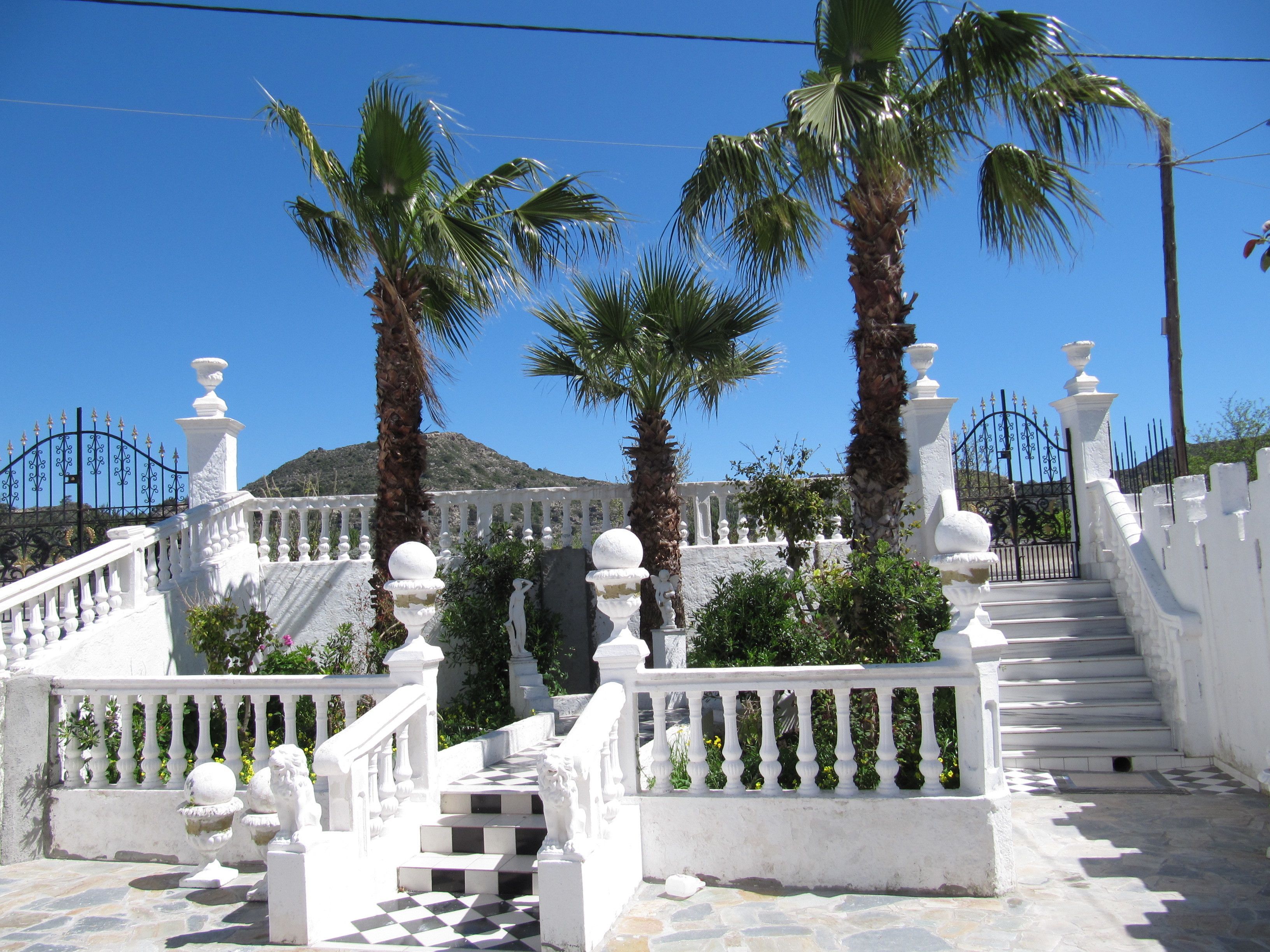 Photo - Castellino Studios