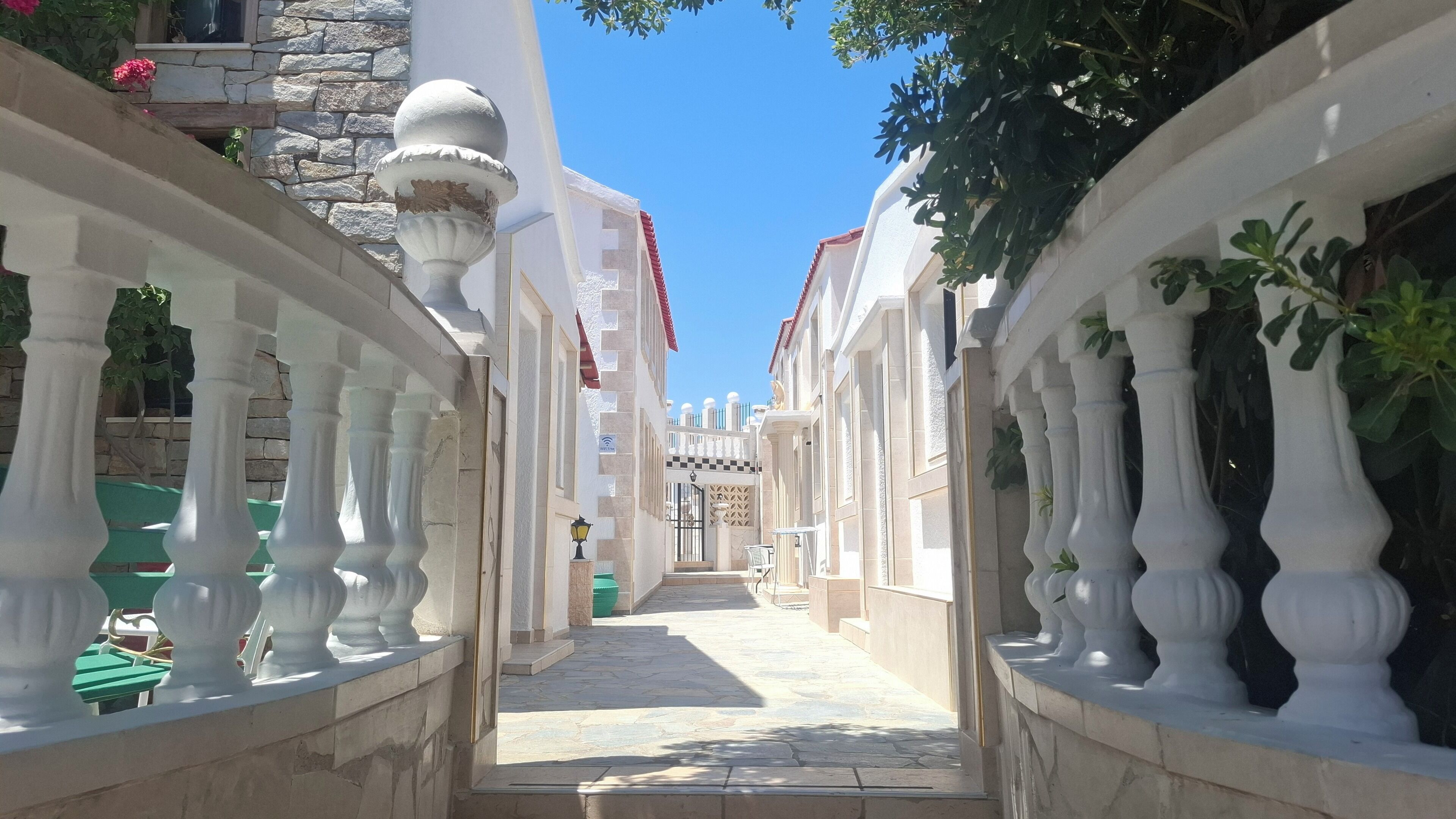 Foto - Castellino Studios