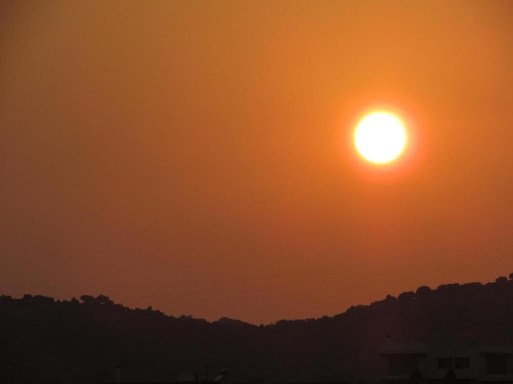 Foto - Castellino Studios