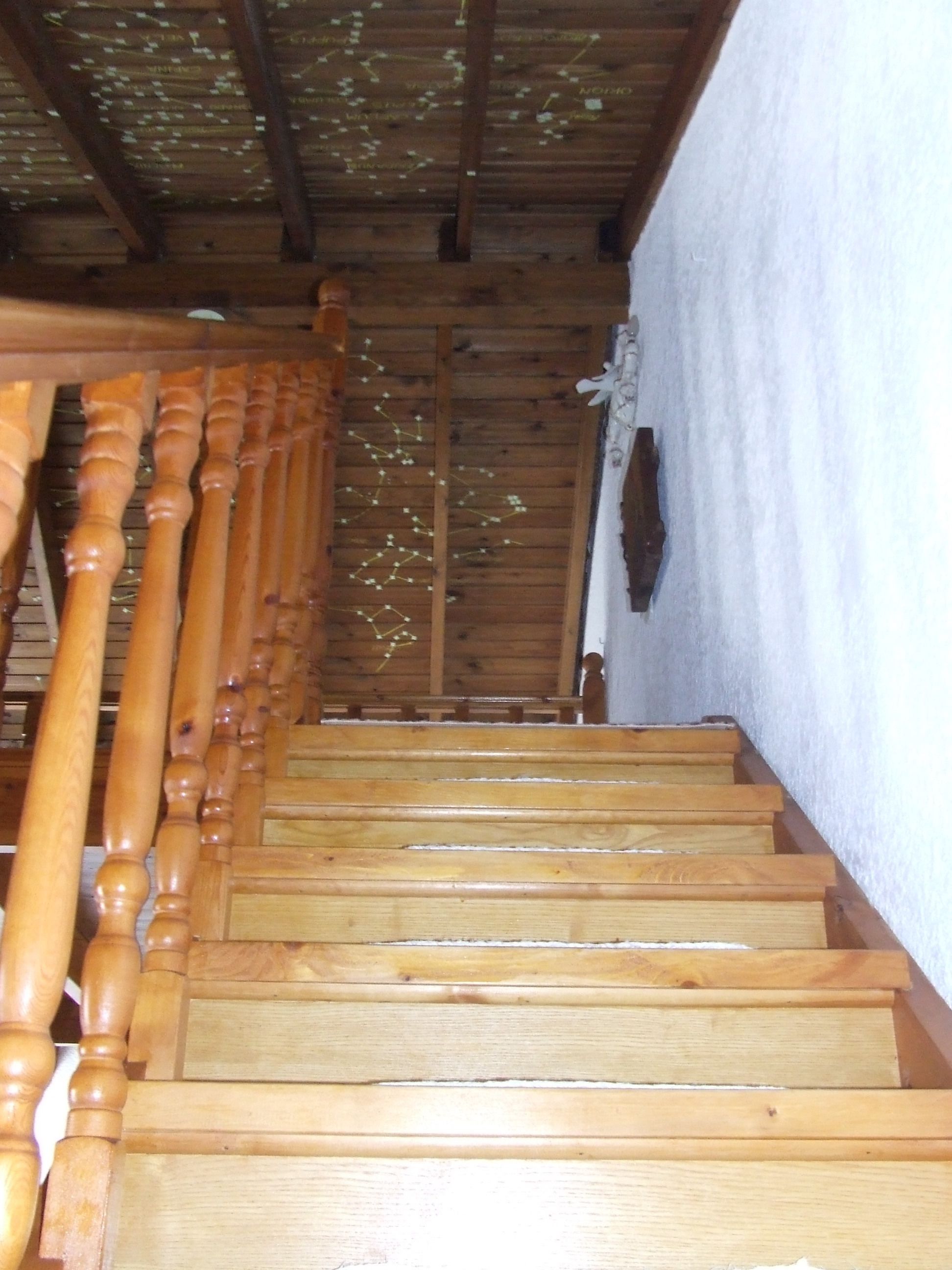 Photo - Castellino Studios