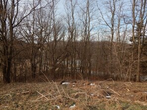 House, 2 Bedrooms | View from room