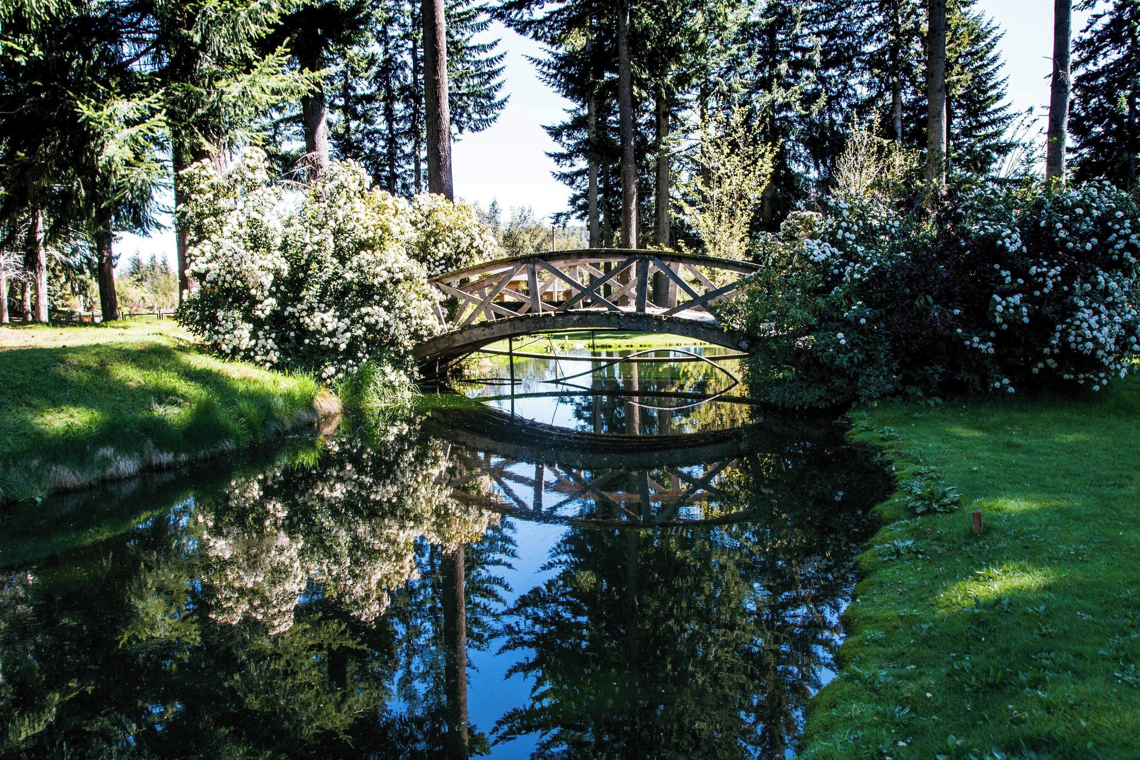 Un pont en bois enjambe un étang paisible, entouré d’une végétation luxuriante et de grands arbres.