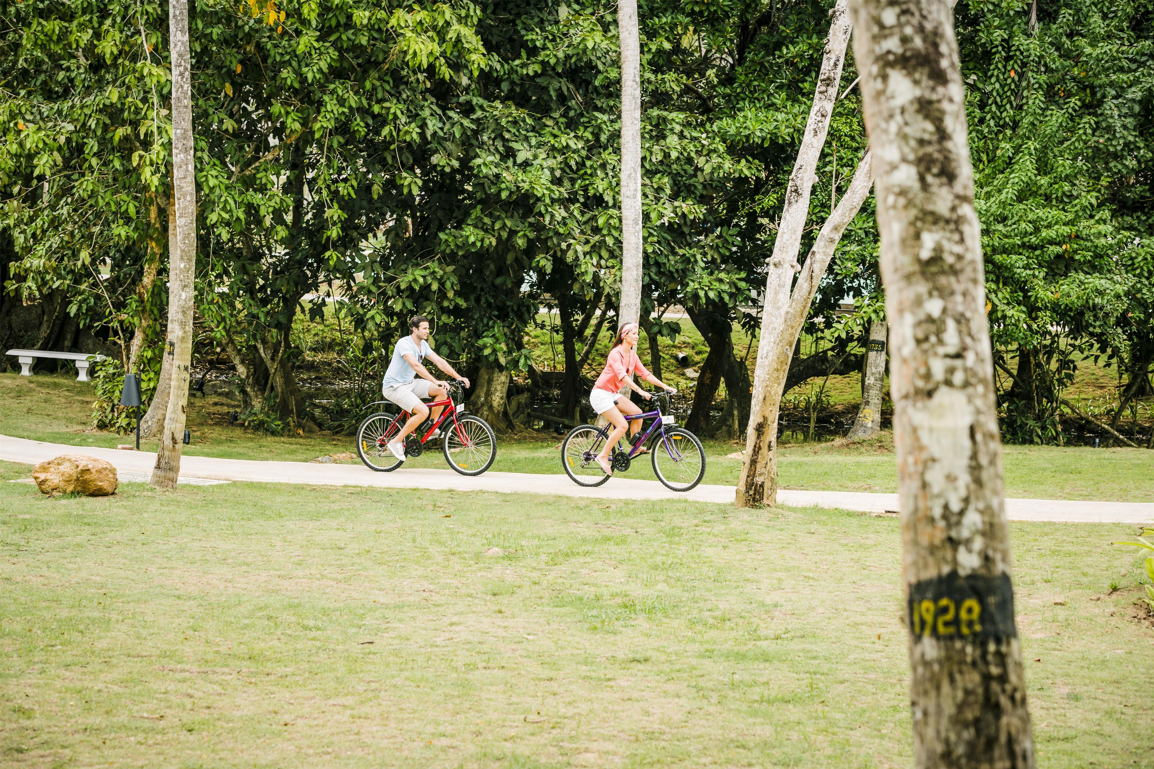 Two cyclists on a path in a park with trees and a bench.