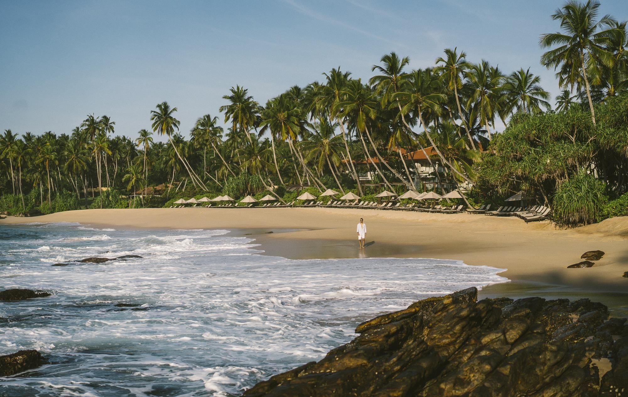 A beach with palm trees, a person standing on the sand, and a row of beach umbrellas.
