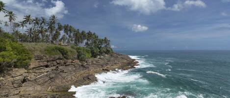 A rocky coastline with palm trees and ocean waves.
