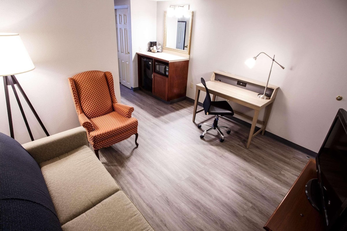 Une chambre d’hôtel équipée d’un canapé, d’un bureau, d’une chaise, d’une télévision, d’une lampe, d’un four à micro-ondes et d’un miroir.