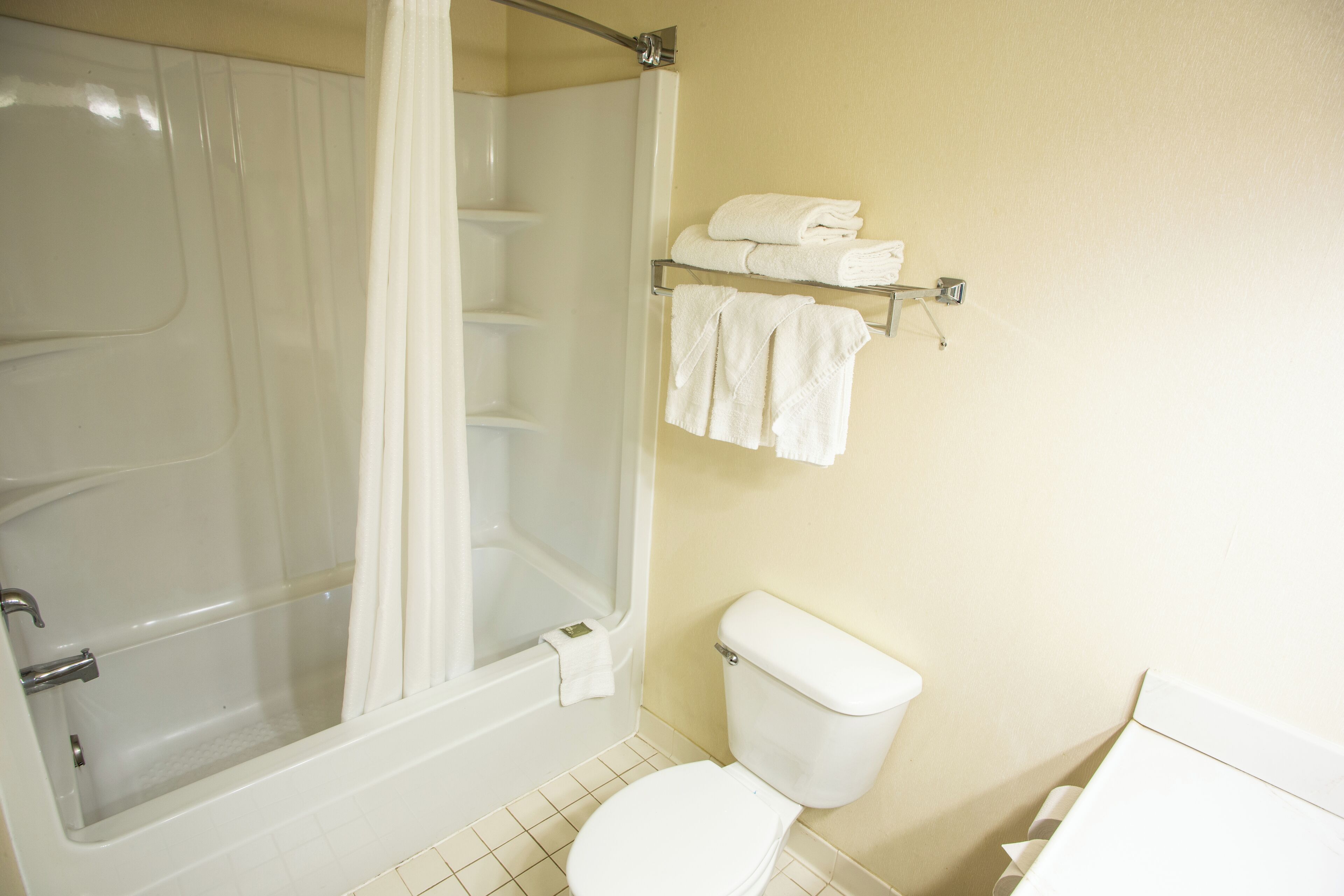 combined shower/bathtub, free toiletries, hair dryer, towels