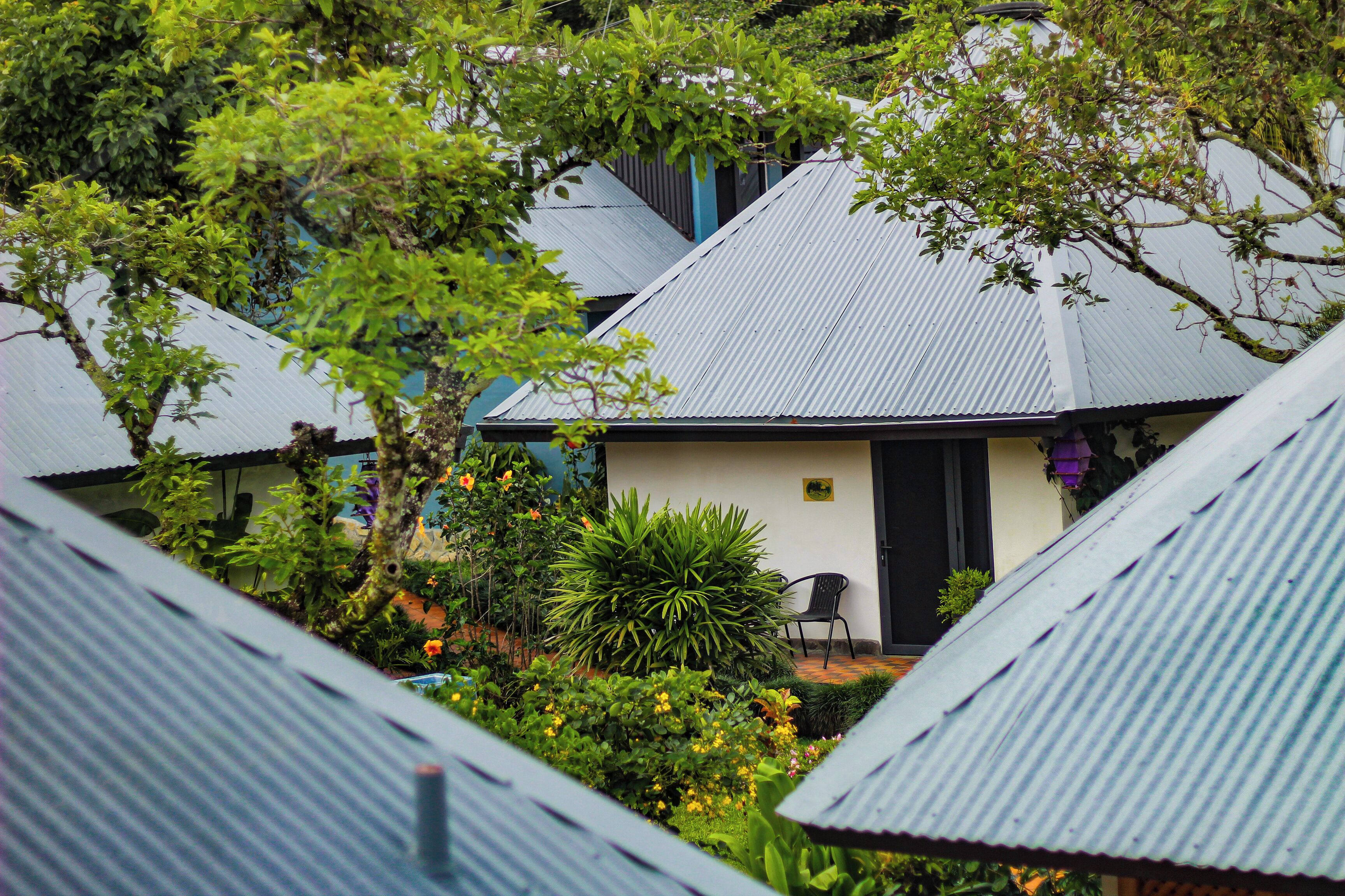 Photo - Hotel Isla Verde