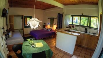 Lower Suite | 1 bedroom, Egyptian cotton sheets, premium bedding, in-room safe