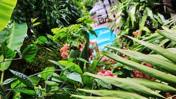 Una piscina al aire libre, una piscina natural