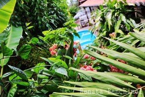 Una piscina al aire libre, una piscina natural