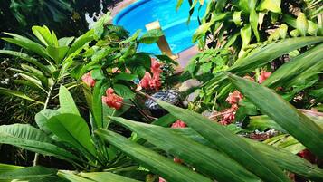Outdoor pool, a natural pool