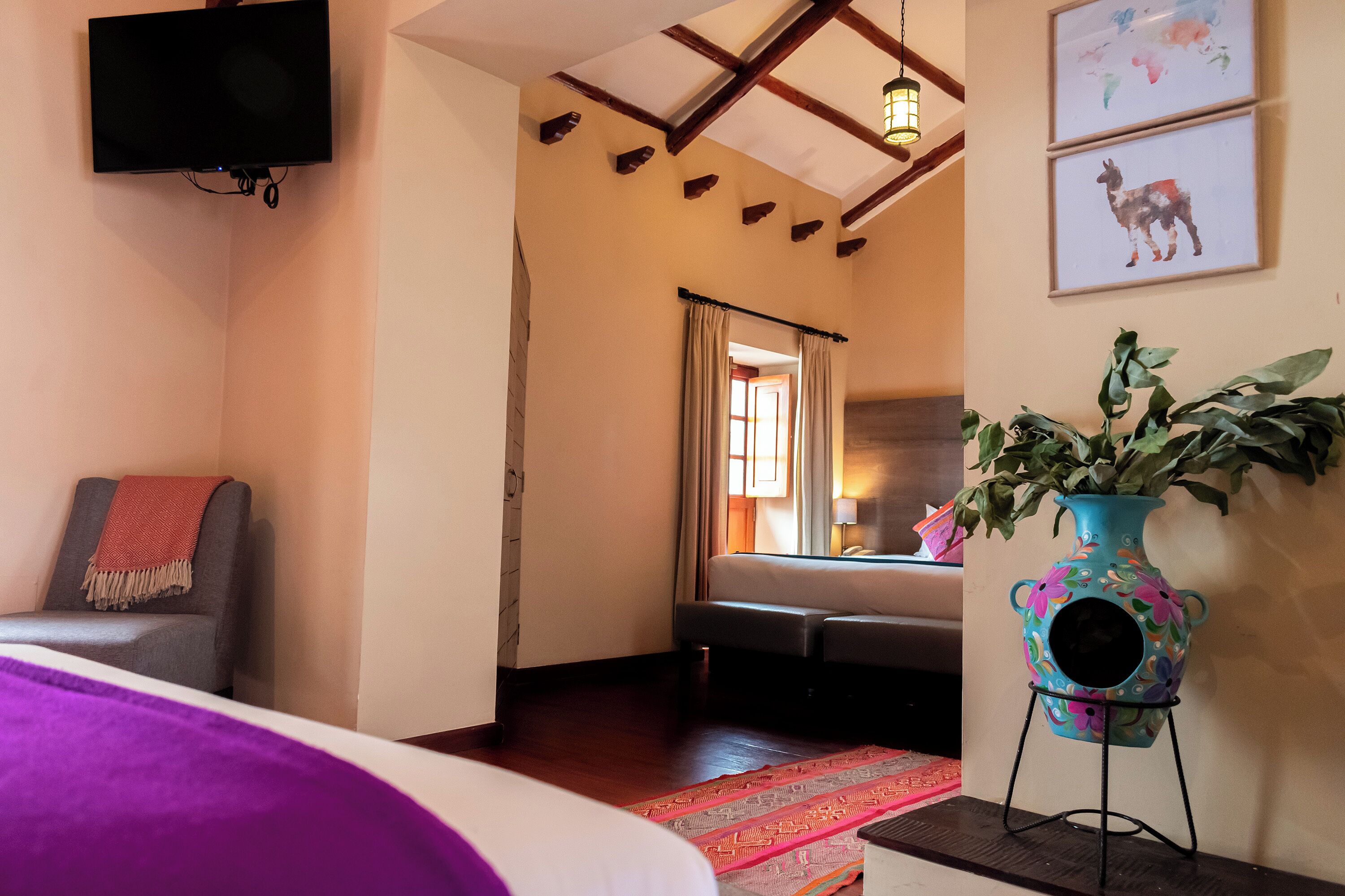 A hotel room with a bed, a chair, a TV, a plant, and a window with curtains.