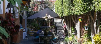 Eco Hotel Las Mariposas