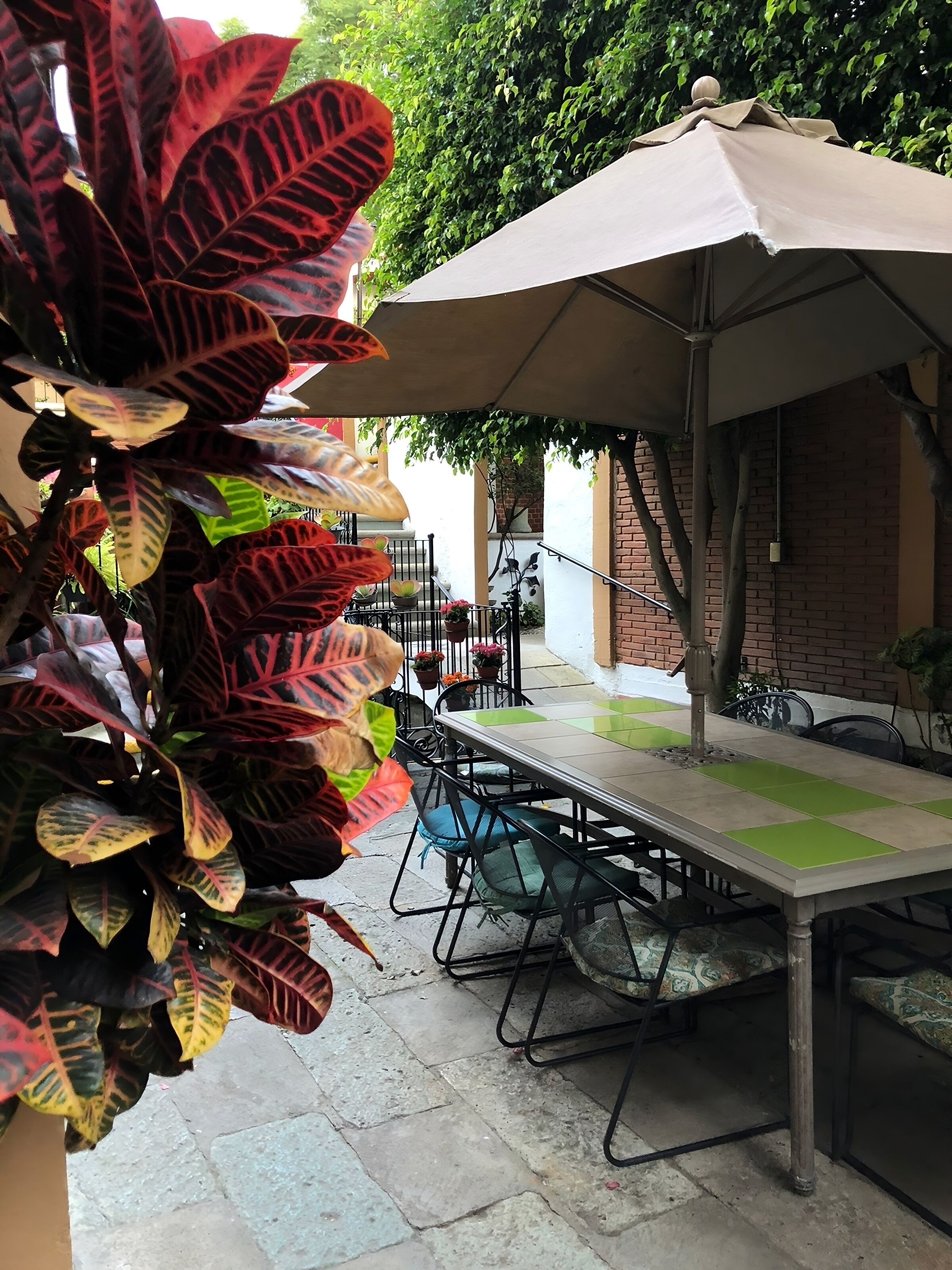 Foto - Las Mariposas Hotel & Studios