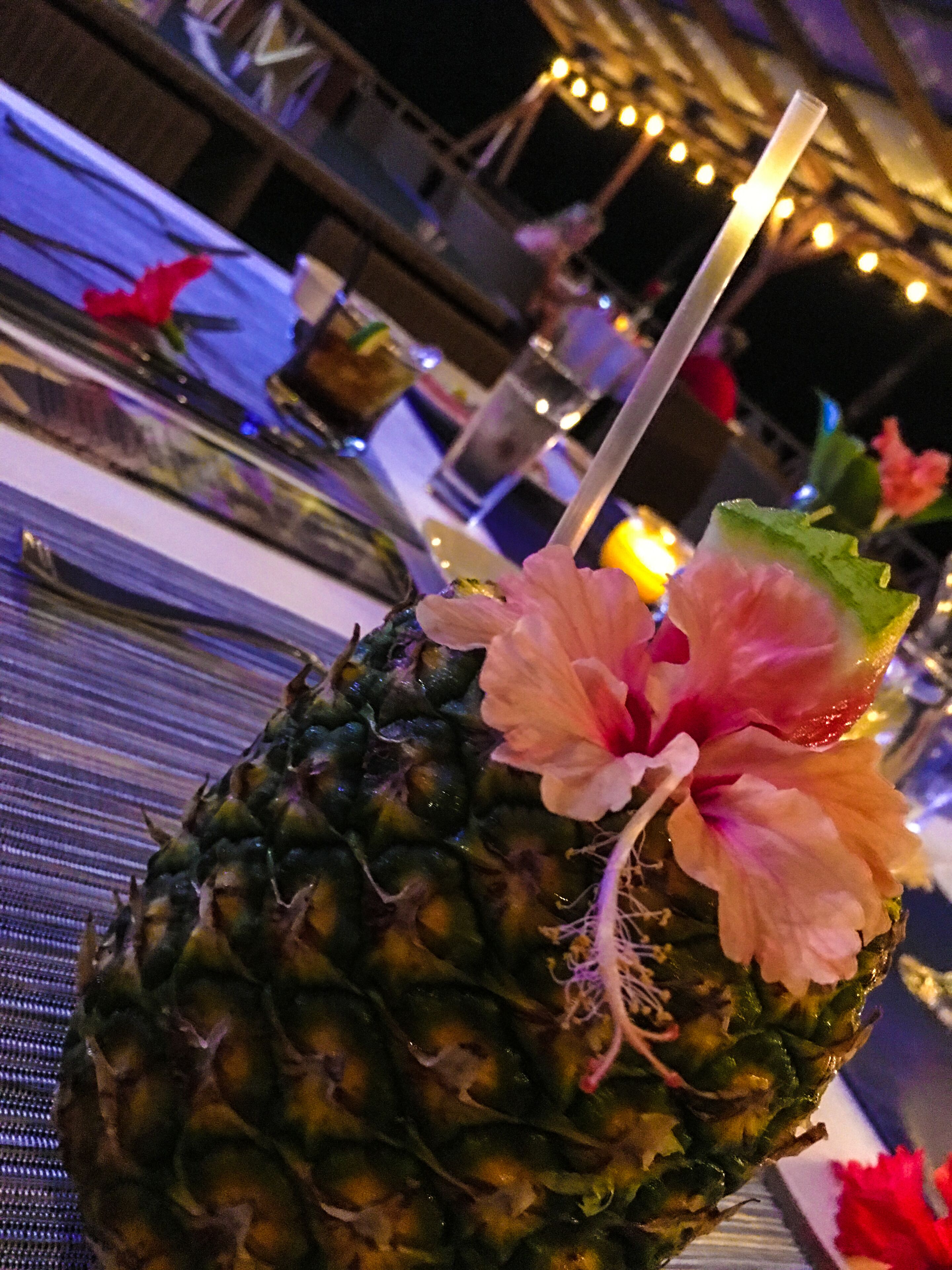 breakfast, lunch and dinner served