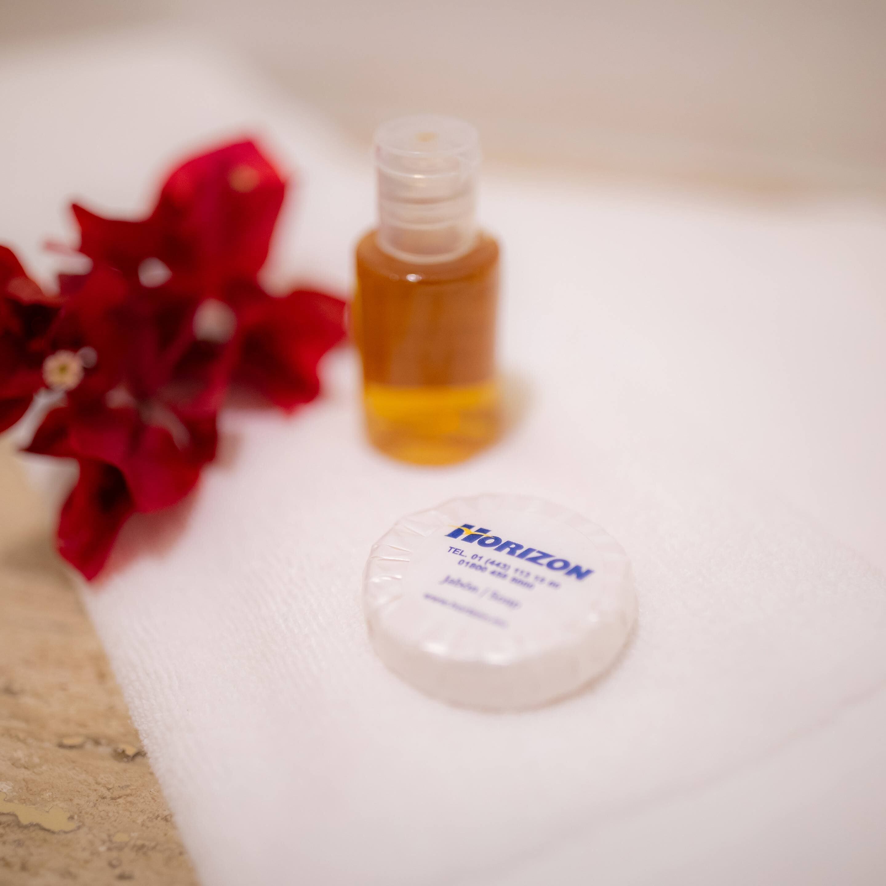 plus | bathroom amenities | shower, rainfall showerhead, free toiletries, hair dryer