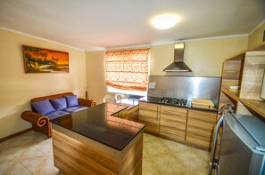 Studio | Private kitchen | Full-sized fridge, microwave, stovetop, dishwasher