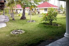 A well-maintained garden with palm trees, a small bush, and a stone pathway leading to a building with a red roof.