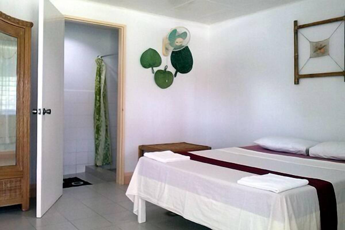 Basic Room | In-room safe, desk, blackout drapes, free WiFi