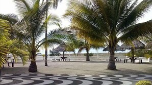 Une zone pavée avec des palmiers et une plage en arrière-plan.