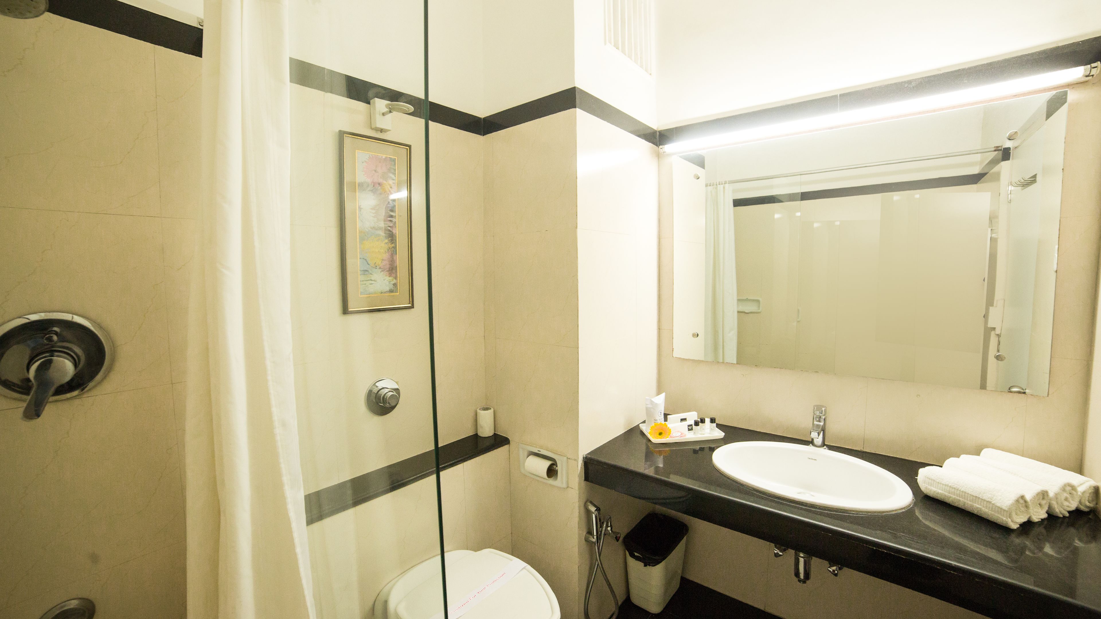 Une salle de bain équipée de toilettes, d’un lavabo et d’une douche.