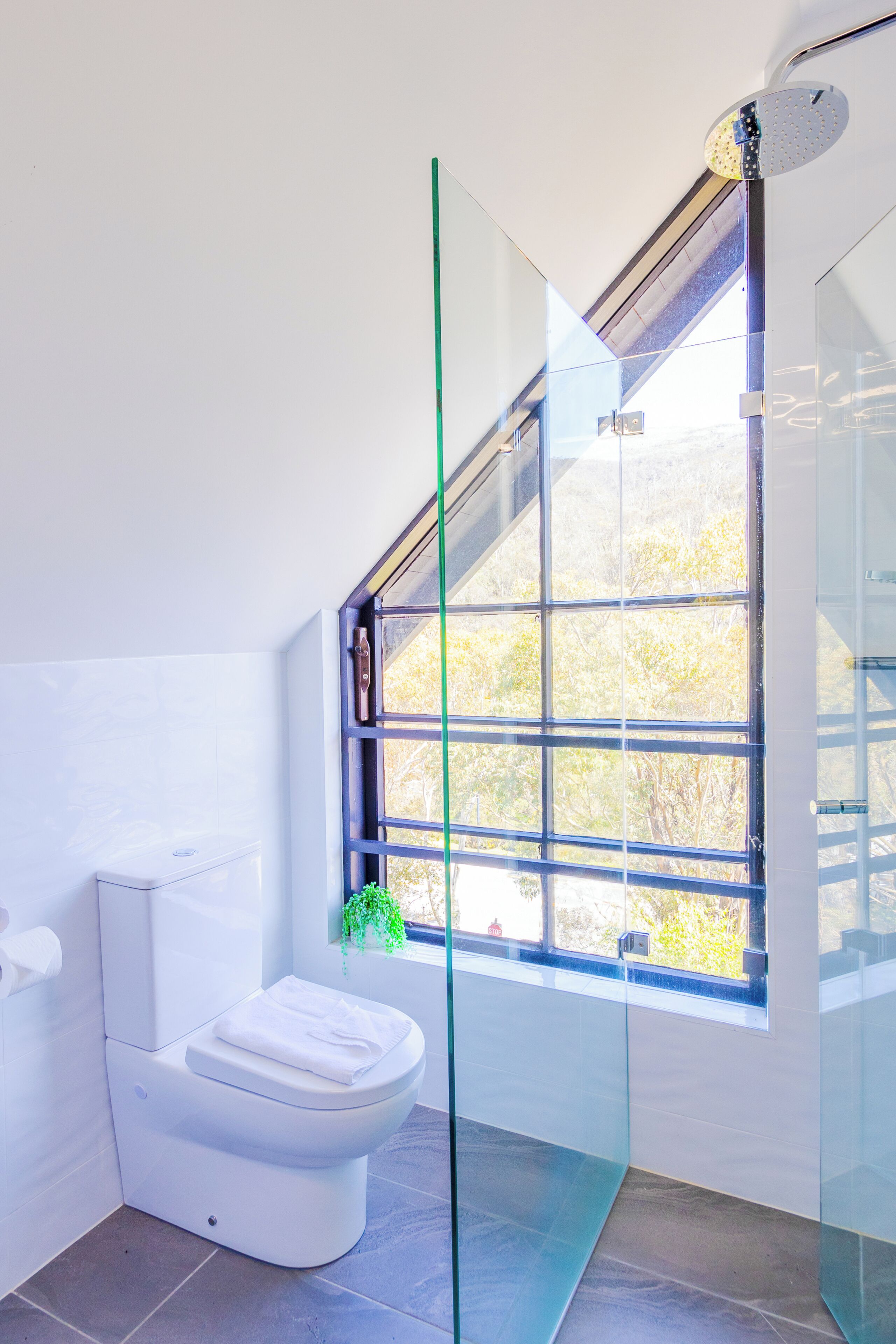 Een moderne badkamer met toilet, een douchecabine van glas en een raam met uitzicht op bomen.
