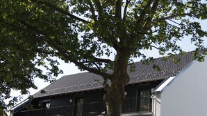 A two-story building with a balcony and a tree in front. - Prime 20 Serviced Apartments (Frankfurt)