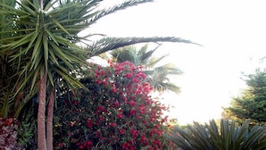 حديقة