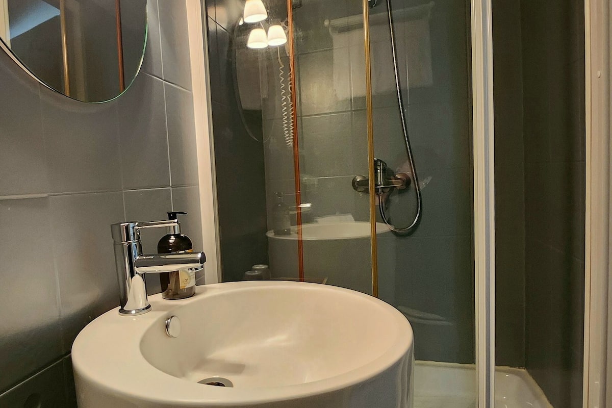 economy single room, 1 bedroom | bathroom | shower, free toiletries, hair dryer, towels
