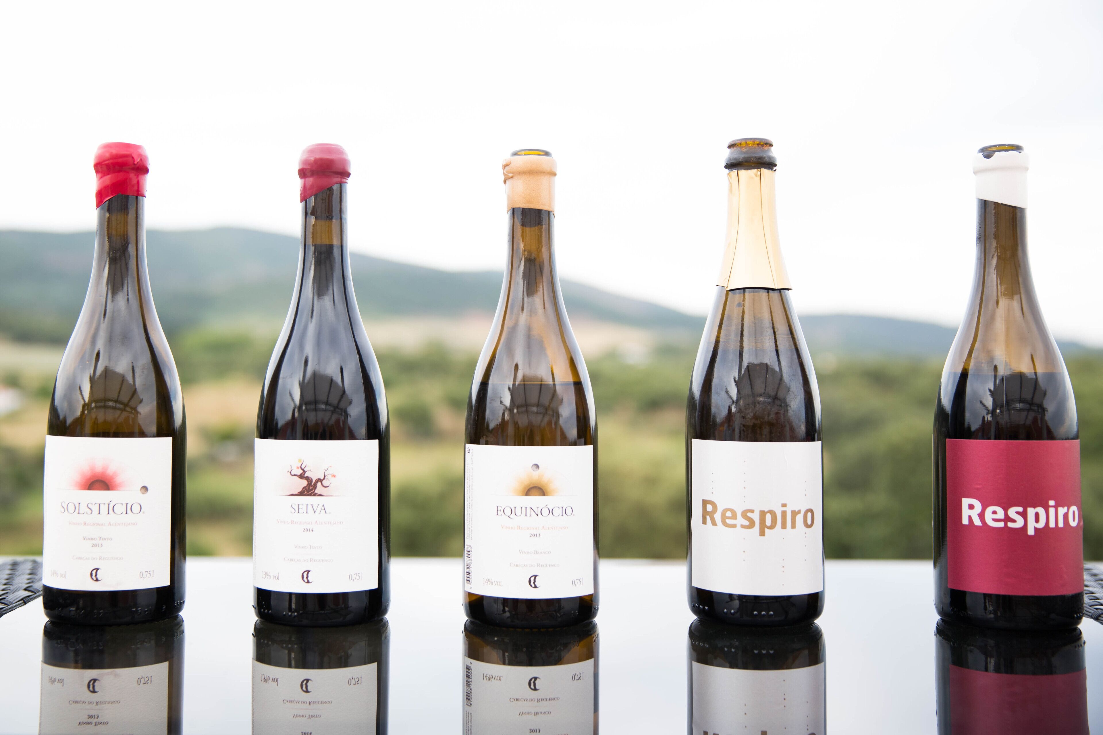 Five wine bottles with labels on a reflective surface.