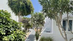 A narrow, paved pathway flanked by white buildings and lush greenery, including trees and shrubs. - Albatros Hotel (Santorini)