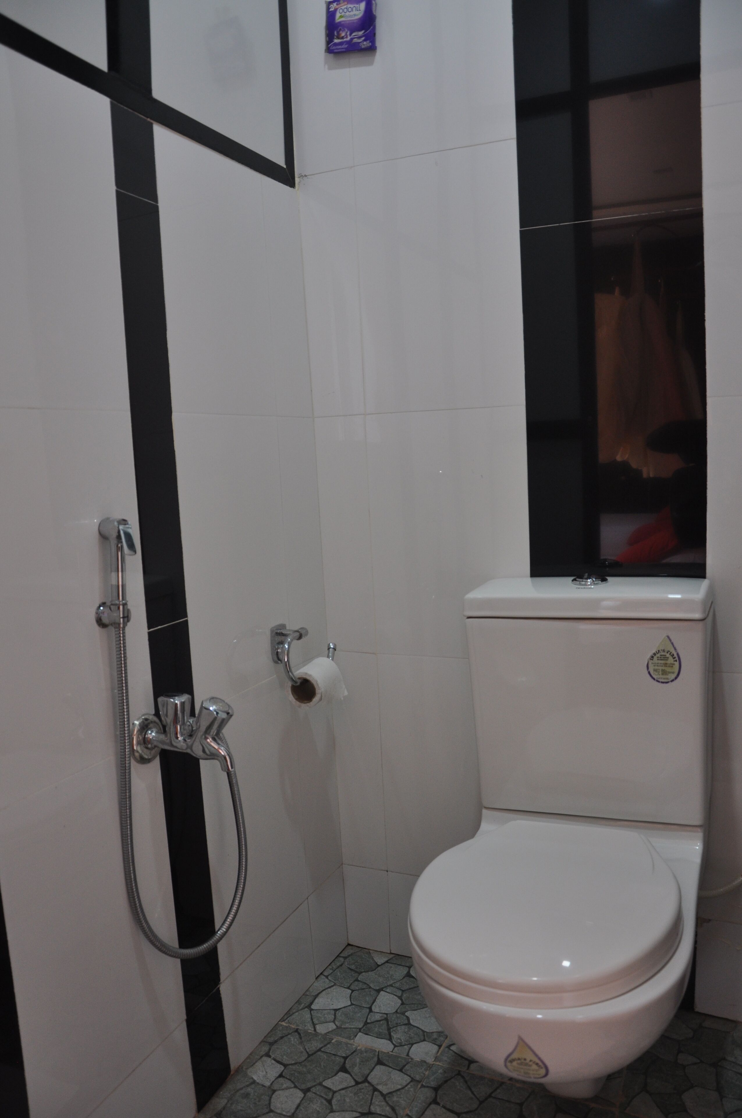 Un baño pequeño con inodoro, ducha y toallero.