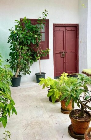 A courtyard with potted plants and a red door.