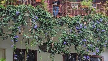 AC Luxury Cottage | Balcony view