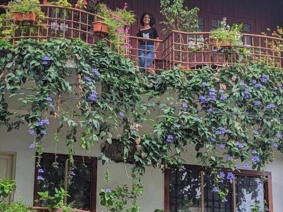 AC Luxury Cottage | Balcony view
