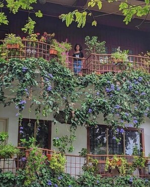 Casa de campo de lujo | Vista del balcón