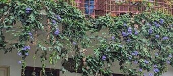 Reds Residency - Homestay