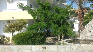 A residential building with a stone wall, a palm tree, and a small pond. - Summerdays Studios (Rhodes)