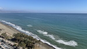 Ein Strand mit freiem Blick auf den Ozean, einem Parkplatz und einer Reihe von Palmen.