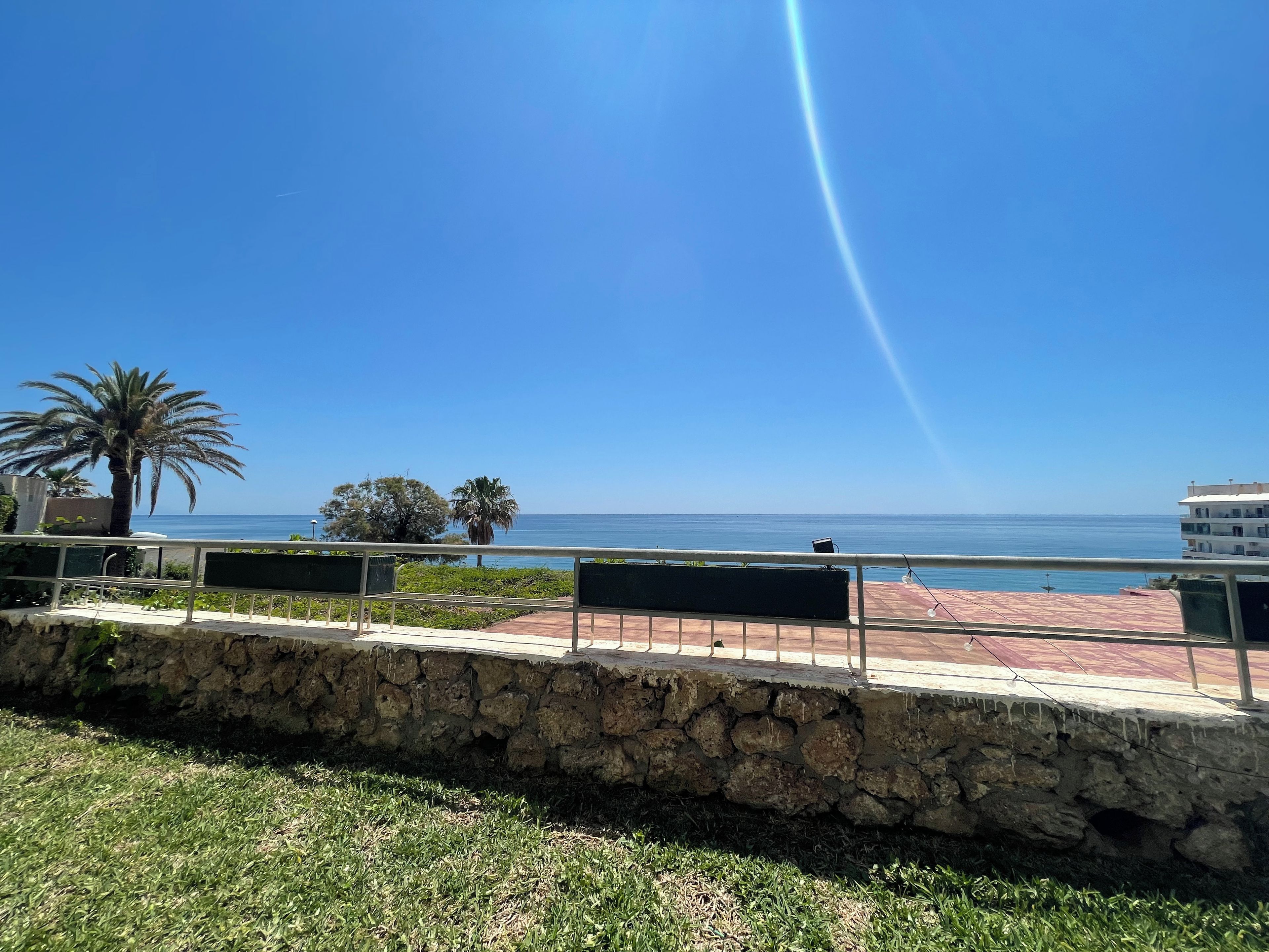 A coastal view with a stone wall, benches, and palm trees.