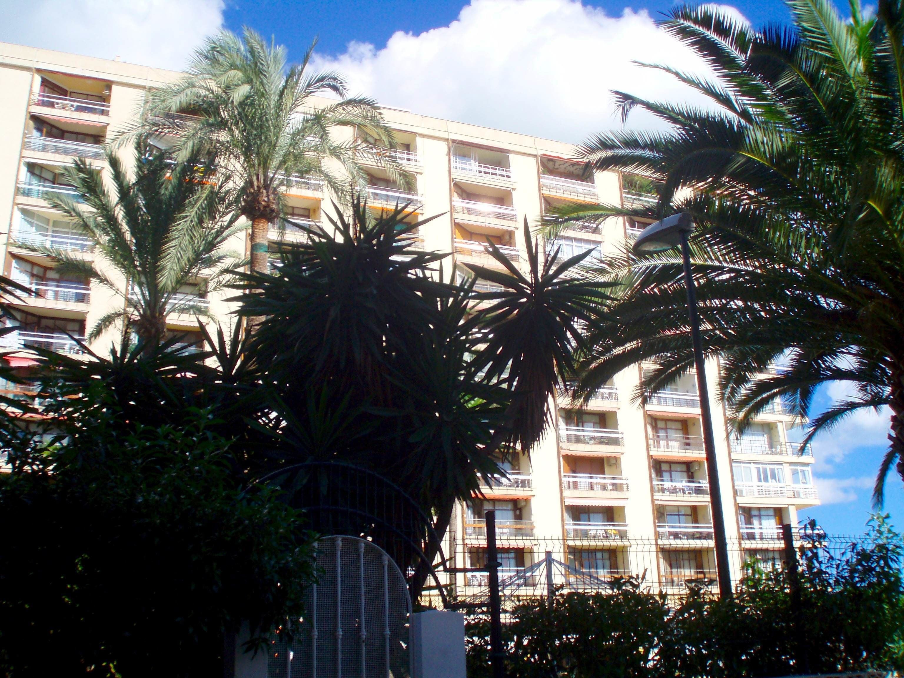 Un hôtel à plusieurs étages doté de balcons, entouré de palmiers.